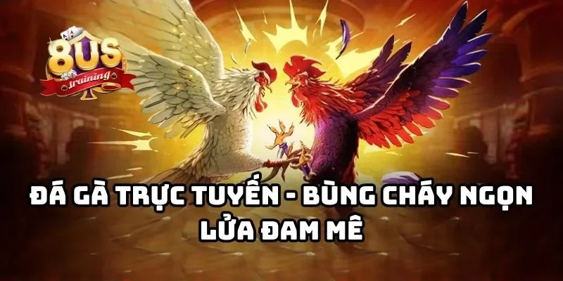 8US 24 Đá gà trực tuyến - Bùng cháy ngọn lửa đam mê